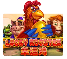 Lucky rooster